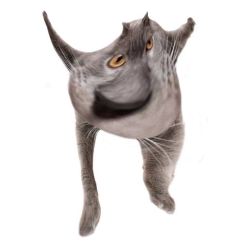 Neoberezhnometano Blank Meme Template