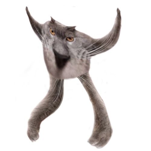 Neoberezhnometano Blank Meme Template