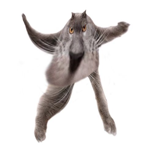 Neoberezhnometano Blank Meme Template