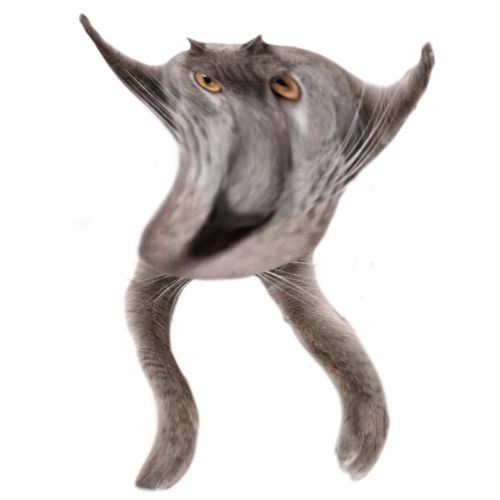 Neoberezhnometano Blank Meme Template