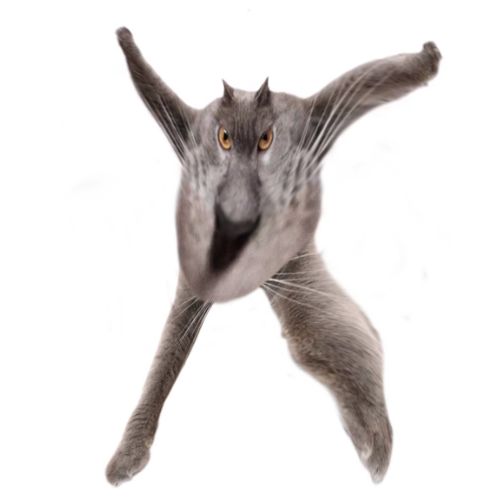 Neoberezhnometano Blank Meme Template