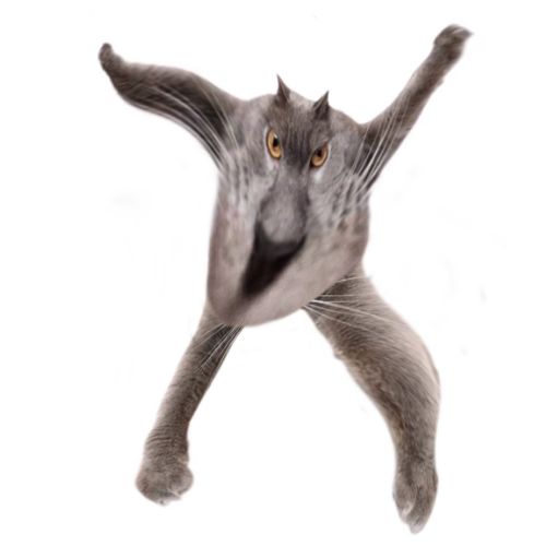 Neoberezhnometano Blank Meme Template