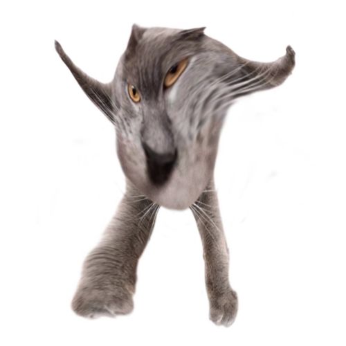 Neoberezhnometano Blank Meme Template