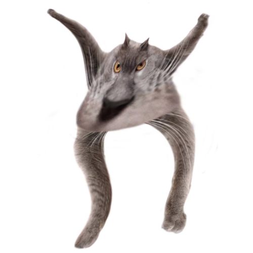 Neoberezhnometano Blank Meme Template