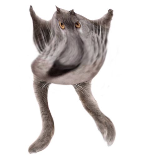 Neoberezhnometano Blank Meme Template