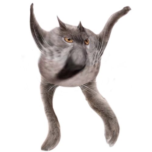 Neoberezhnometano Blank Meme Template