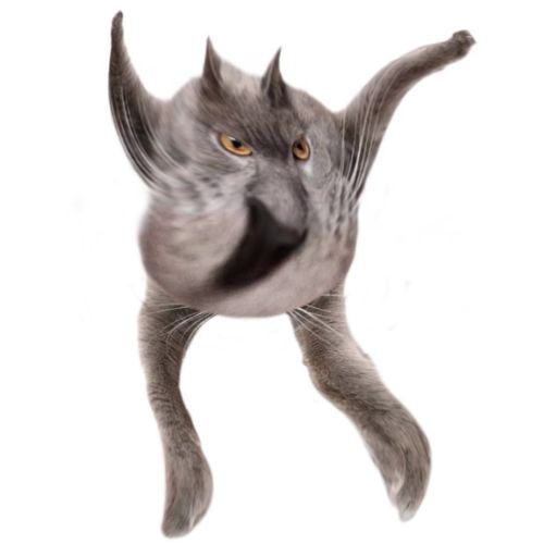 Neoberezhnometano Blank Meme Template