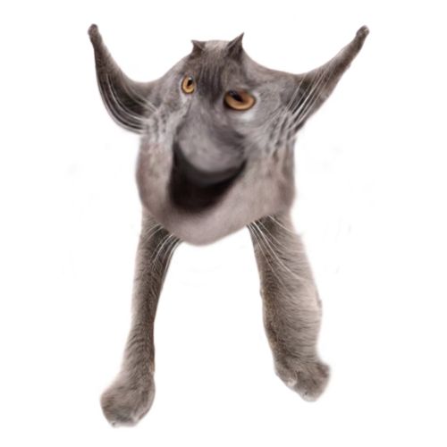 Neoberezhnometano Blank Meme Template
