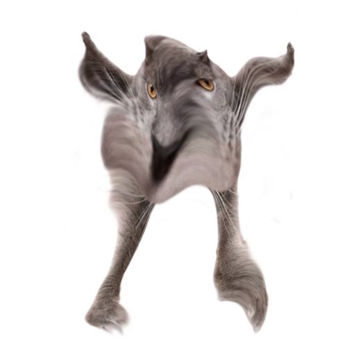 Neoberezhnometano Blank Meme Template