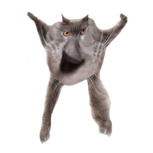 Neoberezhnometano Blank Meme Template