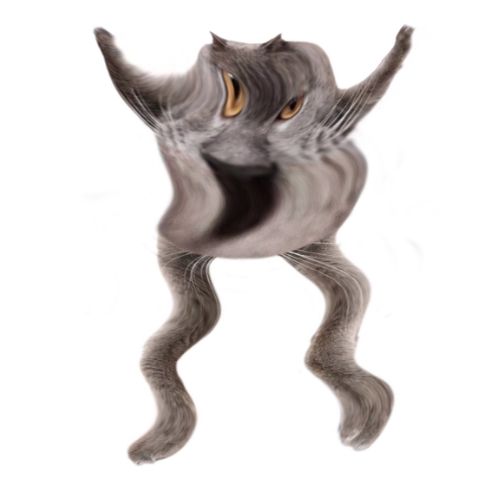 Neoberezhnometano Blank Meme Template