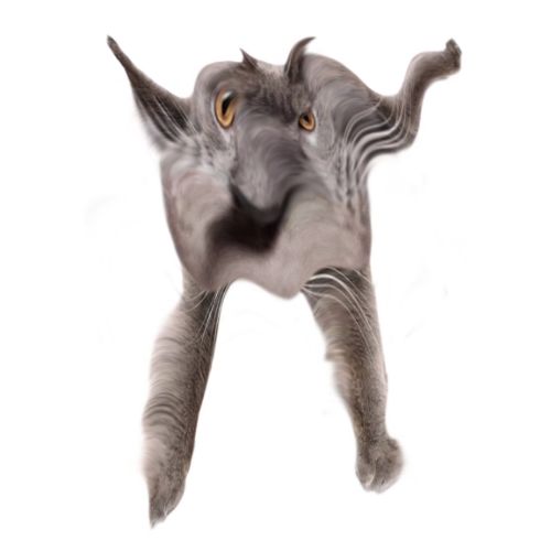 Neoberezhnometano Blank Meme Template