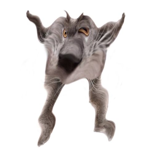 Neoberezhnometano Blank Meme Template