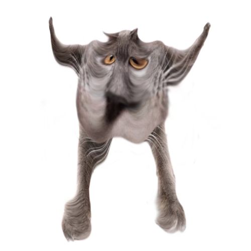 Neoberezhnometano Blank Meme Template