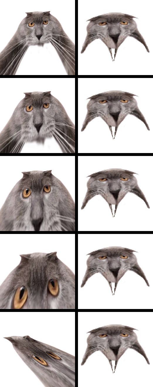 Neoberezhnometano Blank Meme Template