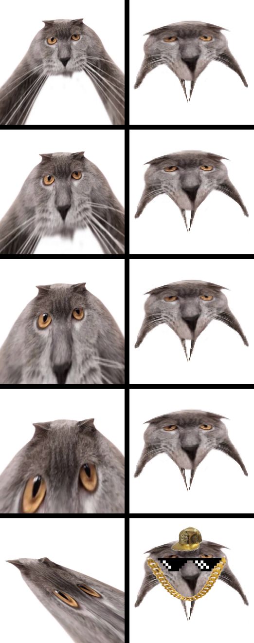 Neoberezhnometano Blank Meme Template