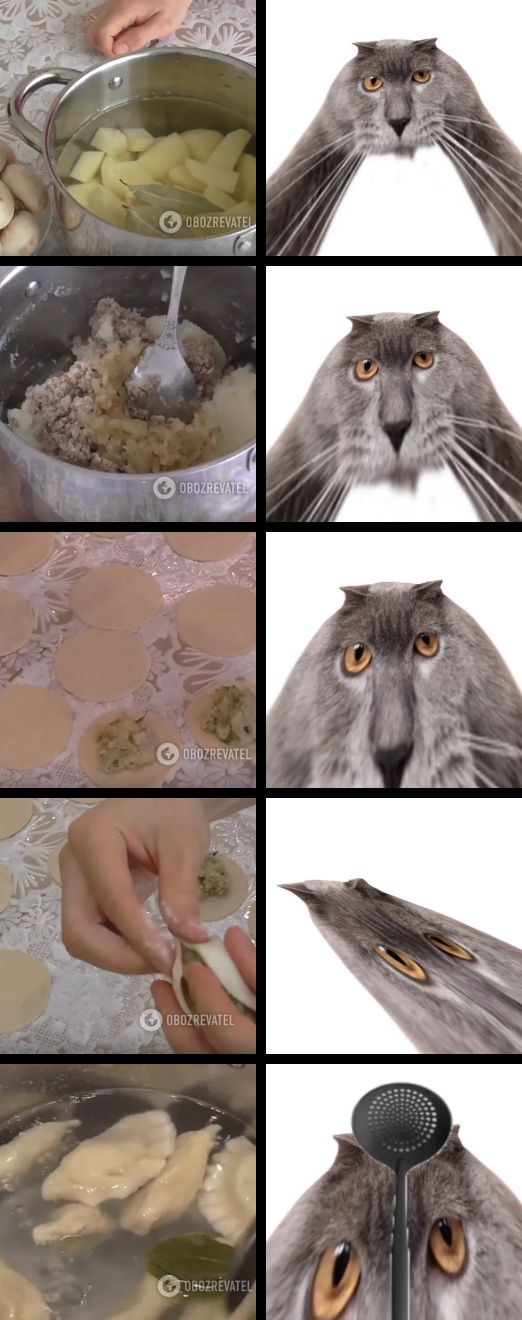 Oberezhnometano Blank Meme Template