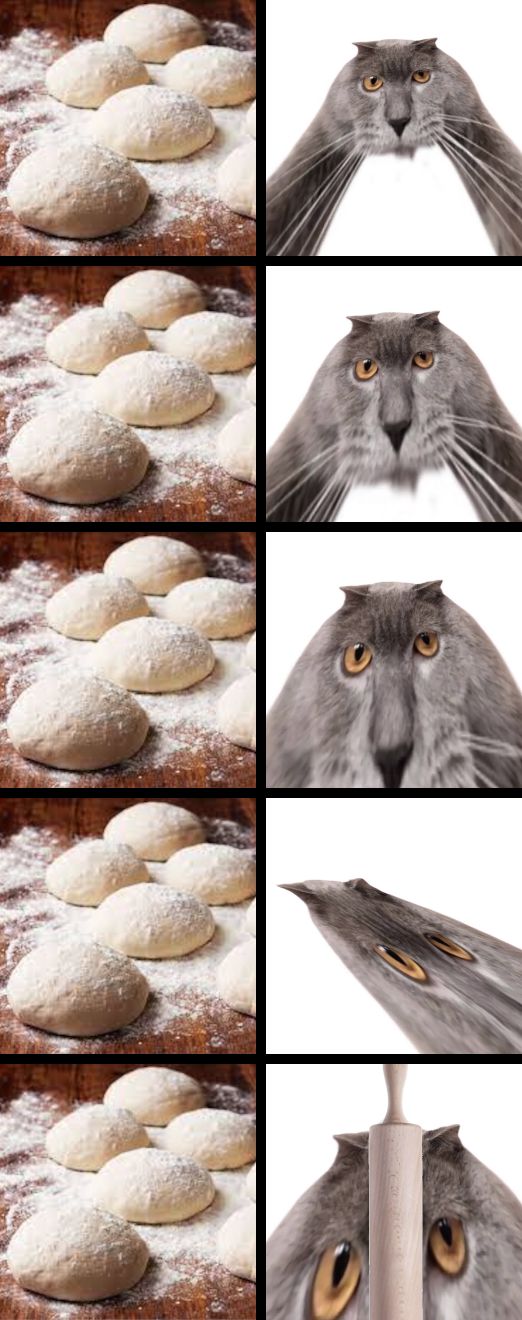 Oberezhnometano Blank Meme Template