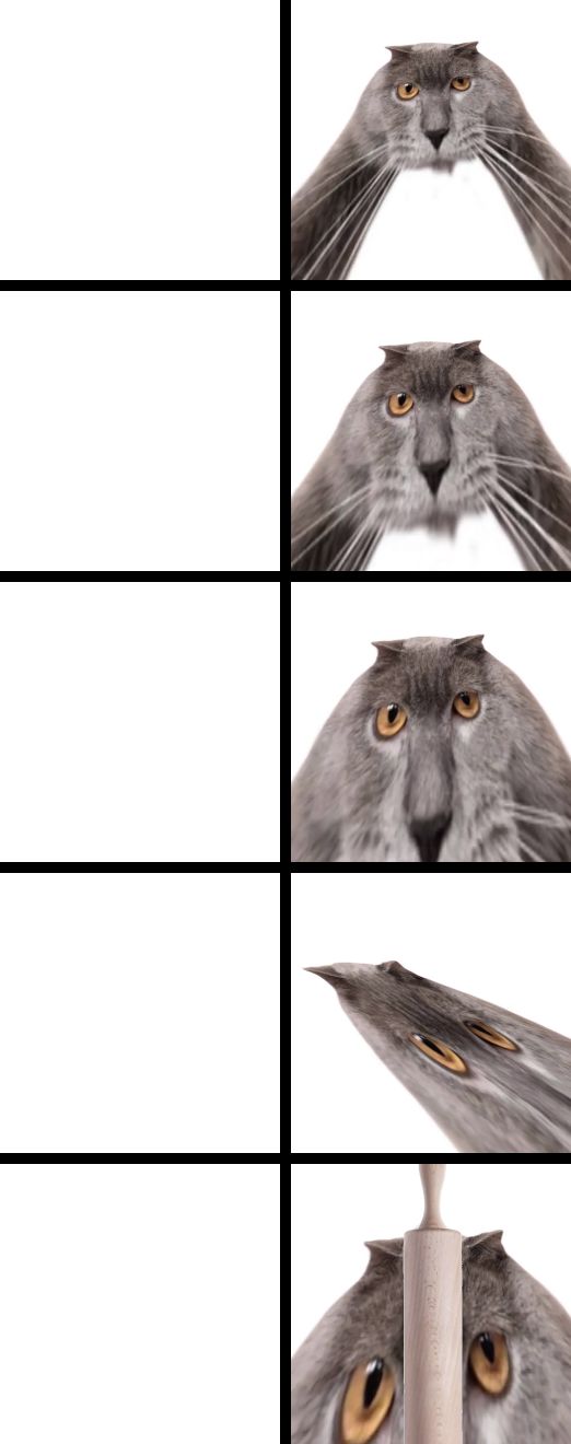 Oberezhnometano Blank Meme Template