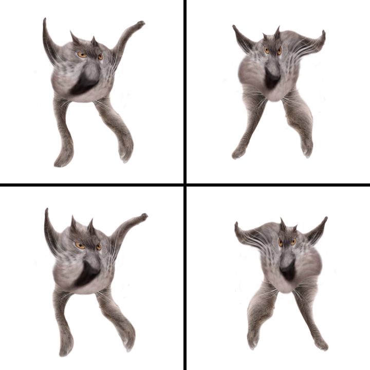 Neoberezhnometano Blank Meme Template