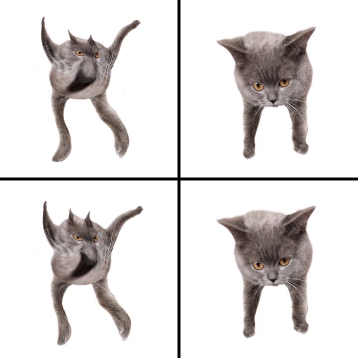 Neoberezhnometano Blank Meme Template