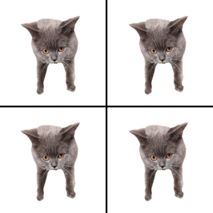 Oberezhnometano Blank Meme Template