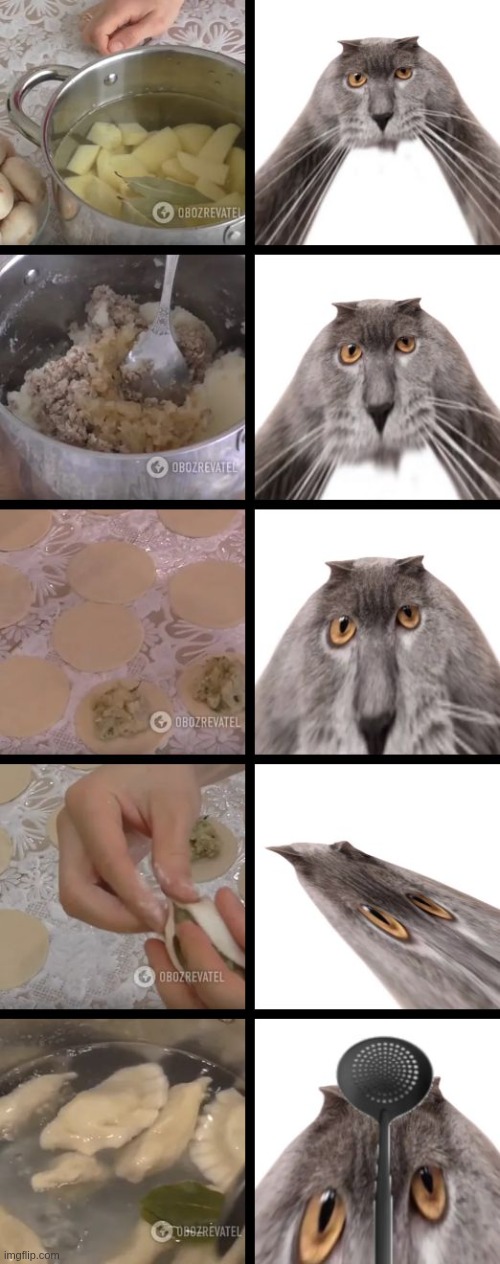 Time to eat | image tagged in oberezhnometano,food,cats,cooking,kotsiubiiv | made w/ Imgflip meme maker