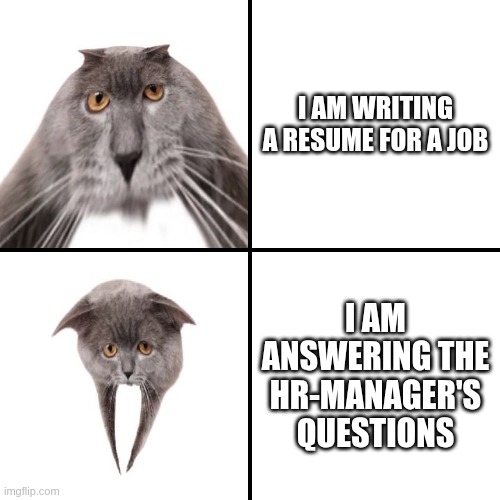 POV: Job search | I AM WRITING
A RESUME FOR A JOB; I AM ANSWERING THE HR-MANAGER'S QUESTIONS | image tagged in oberezhnometano,job,job search,hr,cats,kotsiubiiv | made w/ Imgflip meme maker