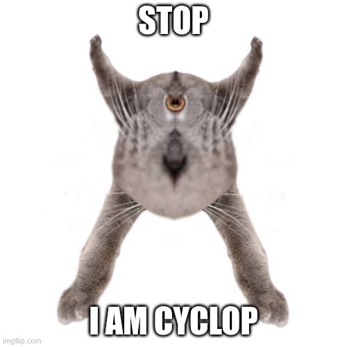 Stop. I'm cyclop | STOP; I AM CYCLOP | image tagged in neoberezhnometano,cyclops,stop,cats,kotsiubiiv | made w/ Imgflip meme maker