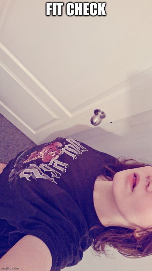 FIT CHECK | image tagged in idk what to put here | made w/ Imgflip meme maker