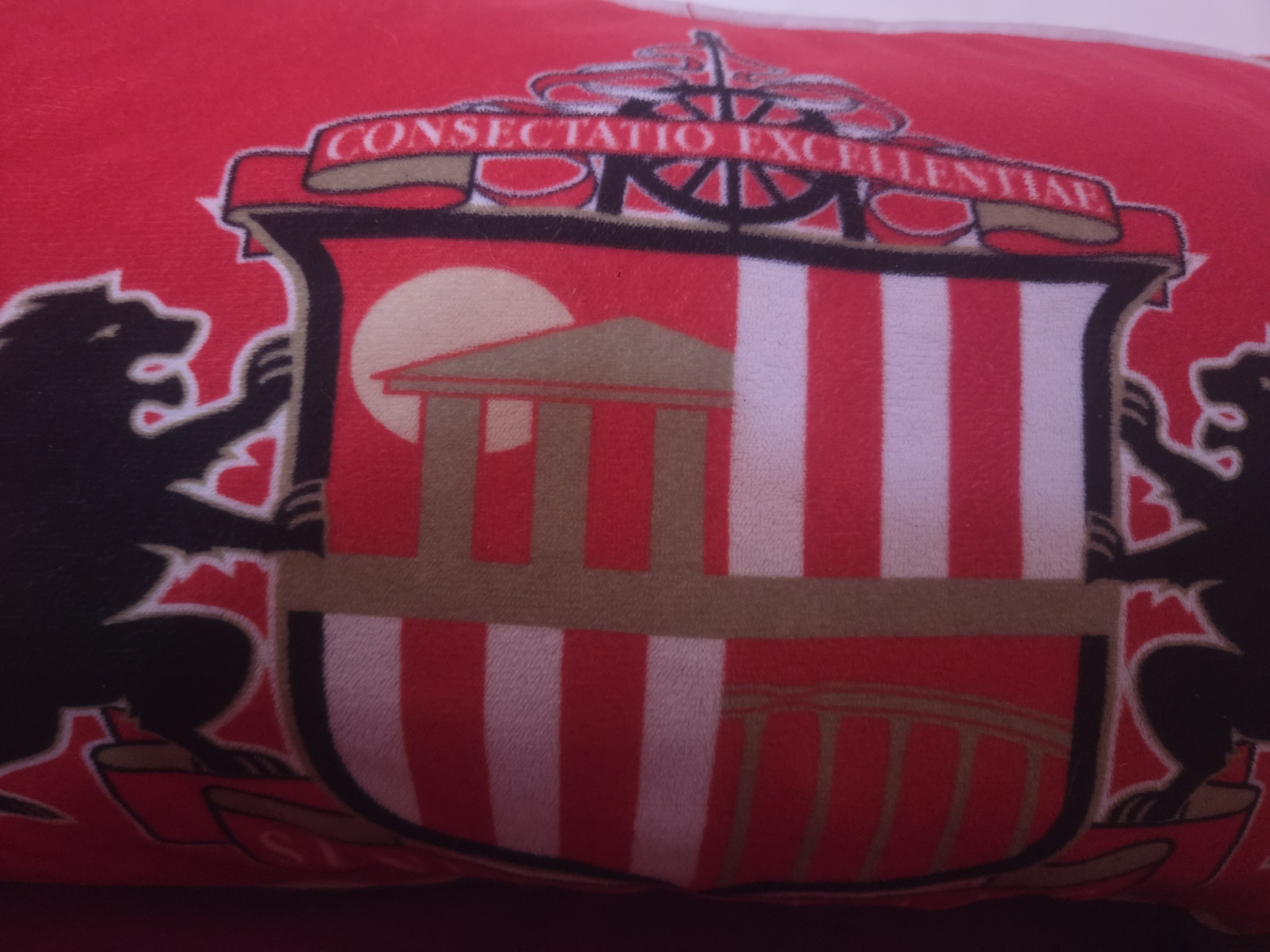 Sunderland sybau Blank Meme Template