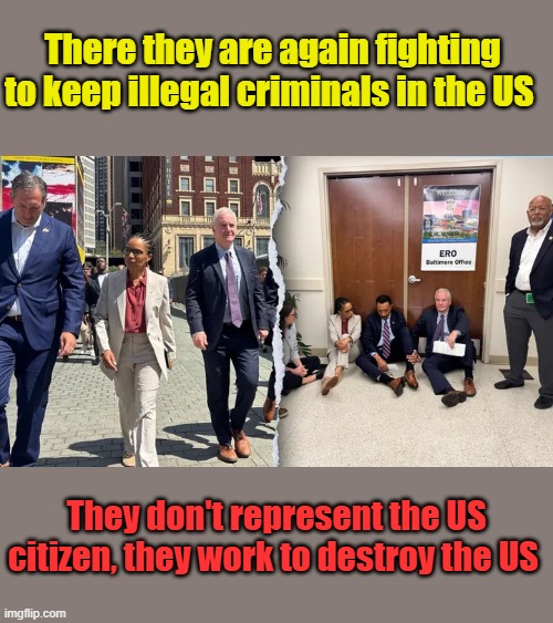 There they are again fighting to keep illegal criminals in the US; They don't represent the US citizen, they work to destroy the US | made w/ Imgflip meme maker
