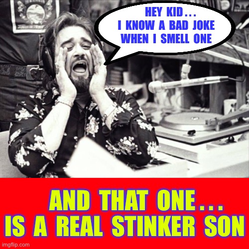That Joke Stinks Baby Boy !!!  : ) | HEY  KID . . .
I  KNOW  A  BAD  JOKE
WHEN  I  SMELL  ONE; AND  THAT  ONE . . .
IS  A  REAL  STINKER  SON | image tagged in wolfman jack | made w/ Imgflip meme maker