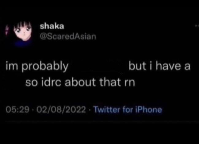 Im probably nonbinary Blank Meme Template
