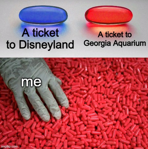 i wanna see whale sharks andi already saw mickey | A ticket to Disneyland; A ticket to Georgia Aquarium; me | image tagged in blue or red pill,memes | made w/ Imgflip meme maker