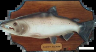 FEESH! Blank Meme Template