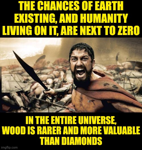 I've Been Saying It For Decades But Nobody Listens.  TREES ARE MORE VALUABLE THAN DIAMONDS | THE CHANCES OF EARTH EXISTING, AND HUMANITY LIVING ON IT, ARE NEXT TO ZERO; IN THE ENTIRE UNIVERSE,

WOOD IS RARER AND MORE VALUABLE
THAN DIAMONDS | image tagged in memes,sparta leonidas,trees,forest,jungle,the meaning of life | made w/ Imgflip meme maker
