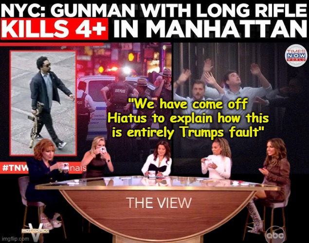 Yet another White Supremacist mass shooting | "We have come off Hiatus to explain how this is entirely Trumps fault" | image tagged in nyc shooting the view meme | made w/ Imgflip meme maker