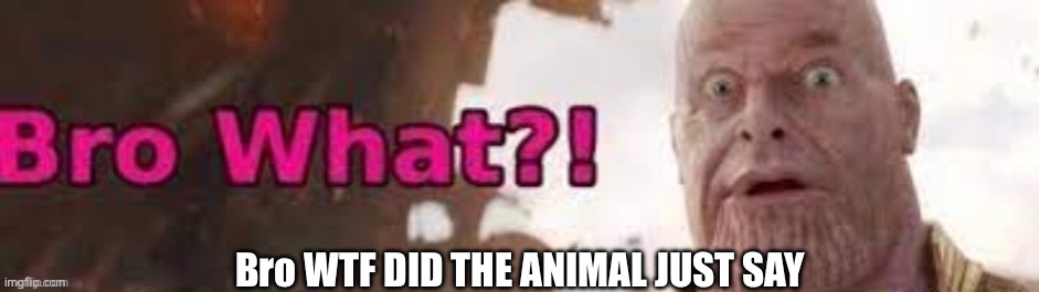 Bro WTF DID THE ANIMAL JUST SAY | made w/ Imgflip meme maker