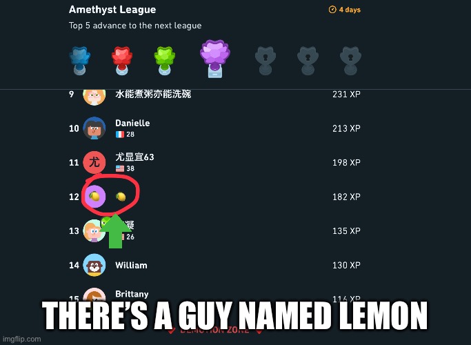 This is not a troll | THERE’S A GUY NAMED LEMON | image tagged in duolingo | made w/ Imgflip meme maker