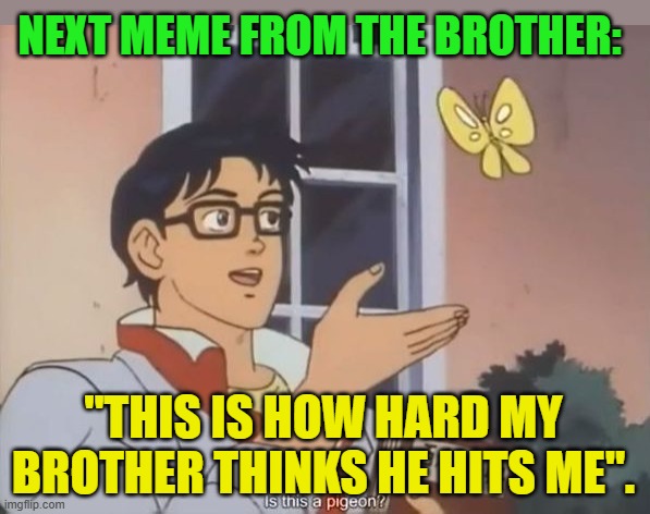 NEXT MEME FROM THE BROTHER: "THIS IS HOW HARD MY BROTHER THINKS HE HITS ME". | image tagged in oblivious anime man butterfly | made w/ Imgflip meme maker