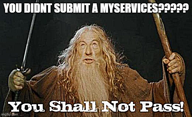 myservices | YOU DIDNT SUBMIT A MYSERVICES????? | image tagged in gandalf you shall not pass | made w/ Imgflip meme maker