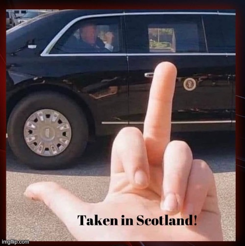 image tagged in trump | made w/ Imgflip meme maker