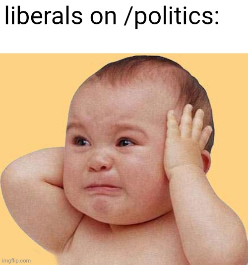 Crying baby hands over ears not listening | liberals on /politics: | image tagged in crying baby hands over ears not listening | made w/ Imgflip meme maker
