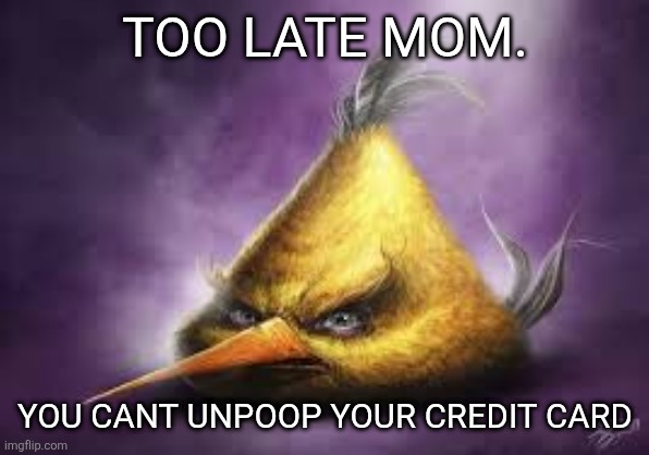 Realistic angry bird | TOO LATE MOM. YOU CANT UNPOOP YOUR CREDIT CARD | image tagged in realistic angry bird | made w/ Imgflip meme maker