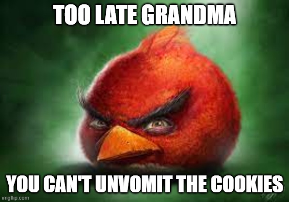 Realistic Red Angry Birds | TOO LATE GRANDMA; YOU CAN'T UNVOMIT THE COOKIES | image tagged in realistic red angry birds | made w/ Imgflip meme maker