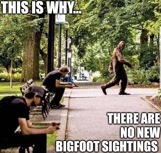 This Is Why There Are No New Bigfoot Sightings | THIS IS WHY... THERE ARE NO NEW BIGFOOT SIGHTINGS | image tagged in chrisjoines1 | made w/ Imgflip meme maker