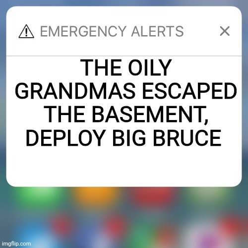 Emergency Alert | THE OILY GRANDMAS ESCAPED THE BASEMENT, DEPLOY BIG BRUCE | image tagged in emergency alert | made w/ Imgflip meme maker