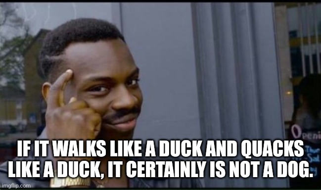 Thinking Black Man | IF IT WALKS LIKE A DUCK AND QUACKS LIKE A DUCK, IT CERTAINLY IS NOT A DOG. | image tagged in thinking black man | made w/ Imgflip meme maker