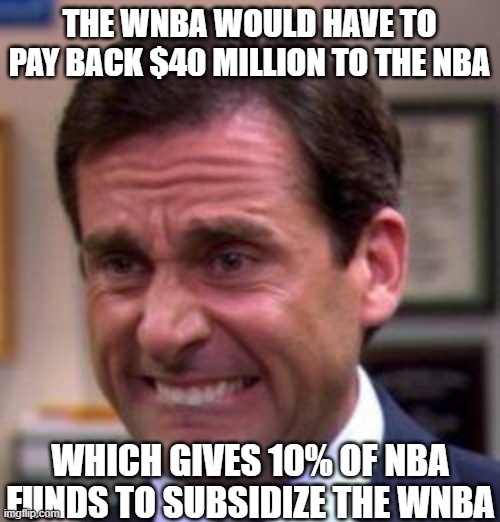 Michael Scott | THE WNBA WOULD HAVE TO PAY BACK $40 MILLION TO THE NBA WHICH GIVES 10% OF NBA FUNDS TO SUBSIDIZE THE WNBA | image tagged in michael scott | made w/ Imgflip meme maker